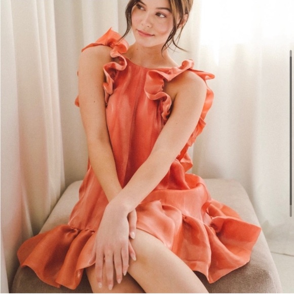 The Rose Shimmer Romance gown Mini Dress Maison Amory Size XS - Picture 3 of 8